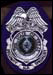 Click here to see an enlarged picture.