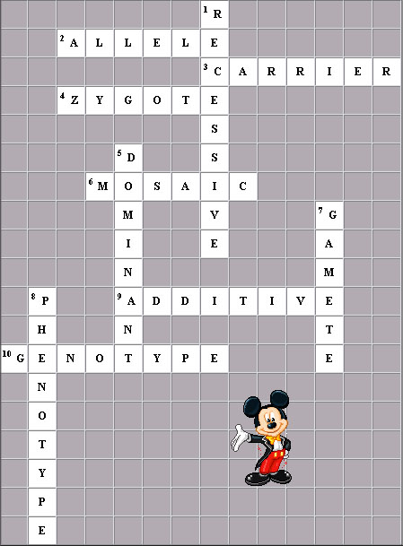 Crossword Answer Gird