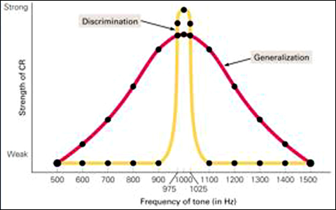 Stimulus Discrimination versus Stimulus generalization