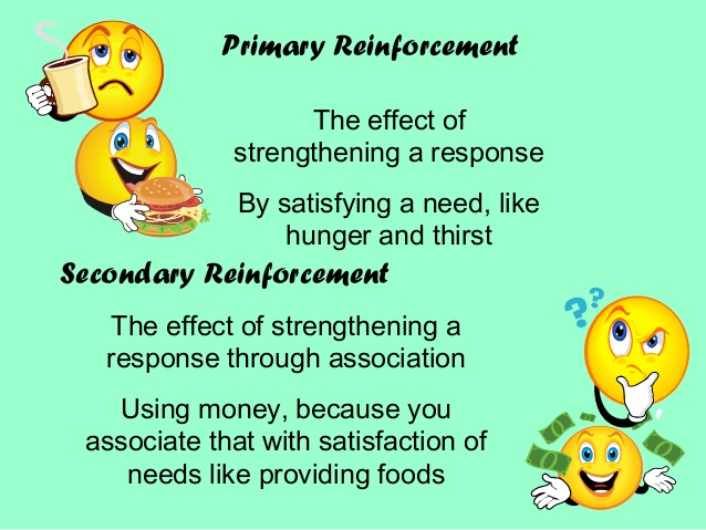 Reinforcers