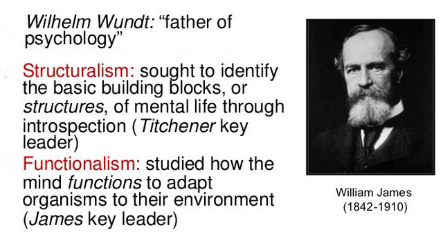 Structuralists versus functionalists