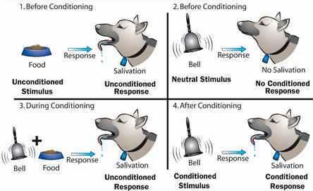 Classical Conditioning