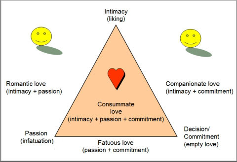 Triangle Theory