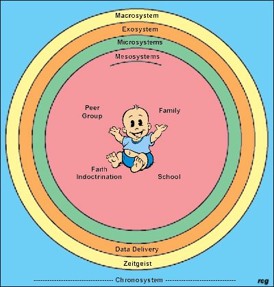 Ecological Model