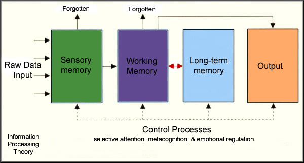 Information Processing