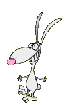 Jumping Rabbit